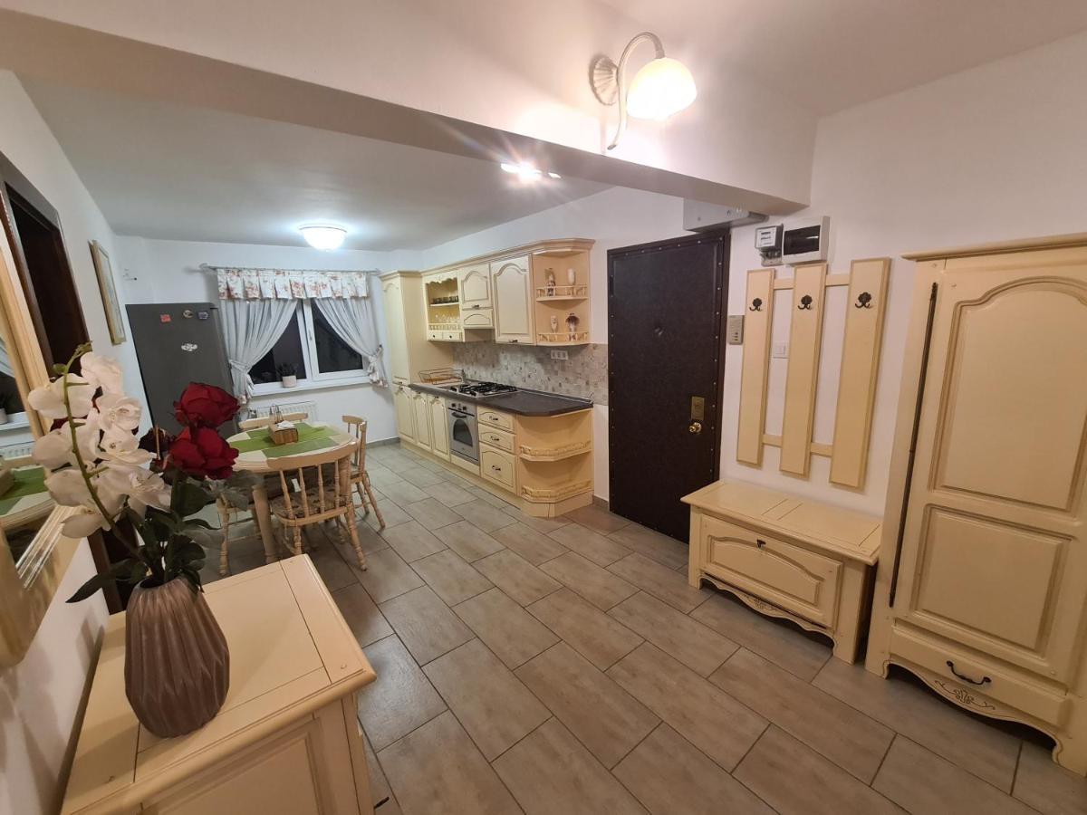 Apartment Clasic Nufarul Oradea